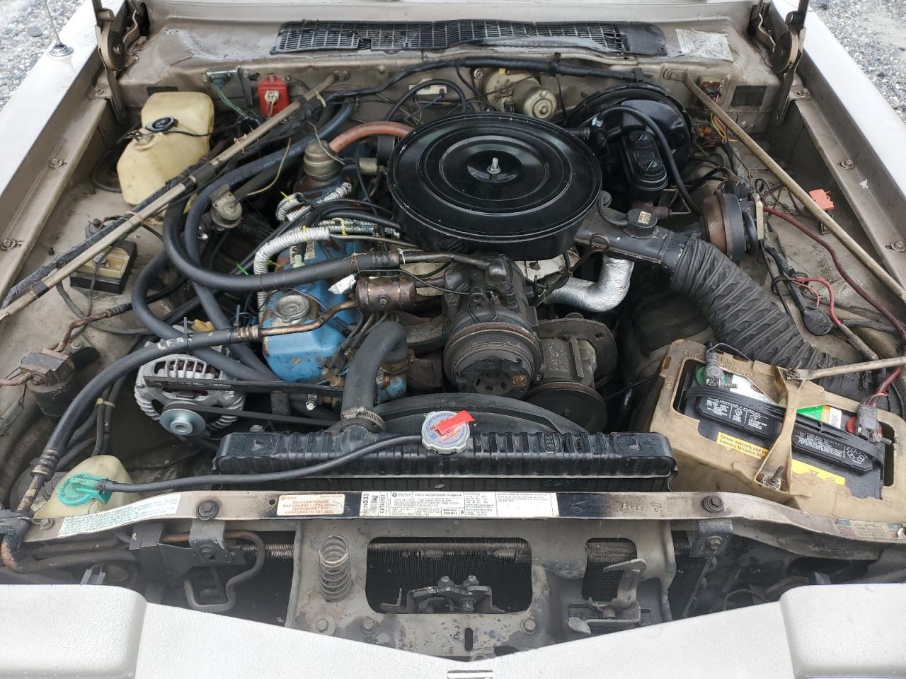 1980 DODGE Diplomat
