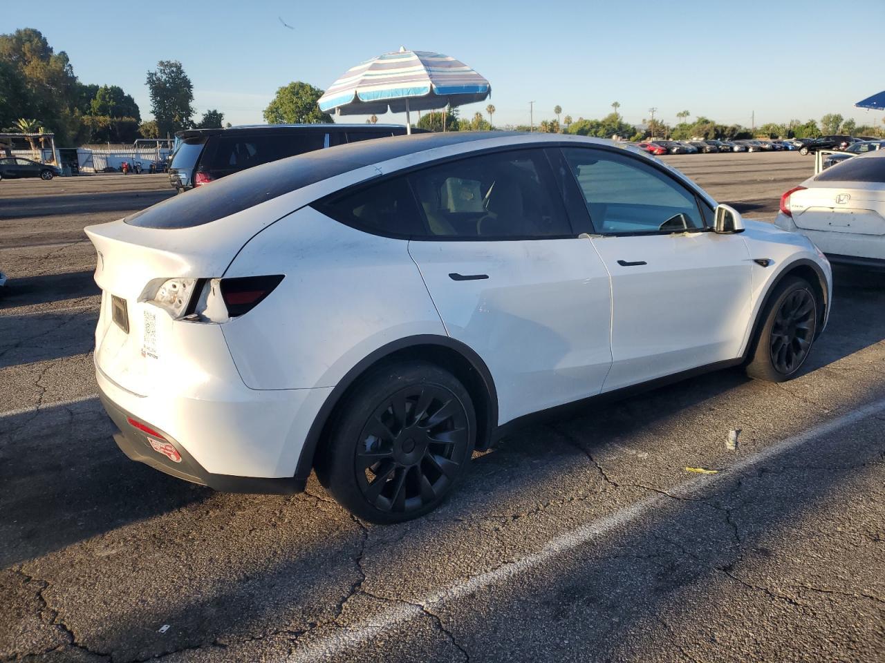 2024 TESLA MODEL Y