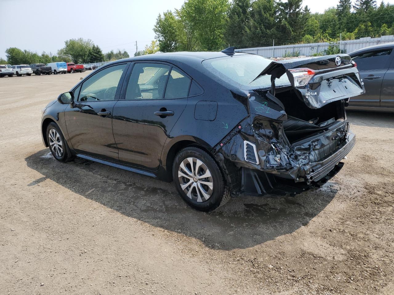 2023 TOYOTA COROLLA