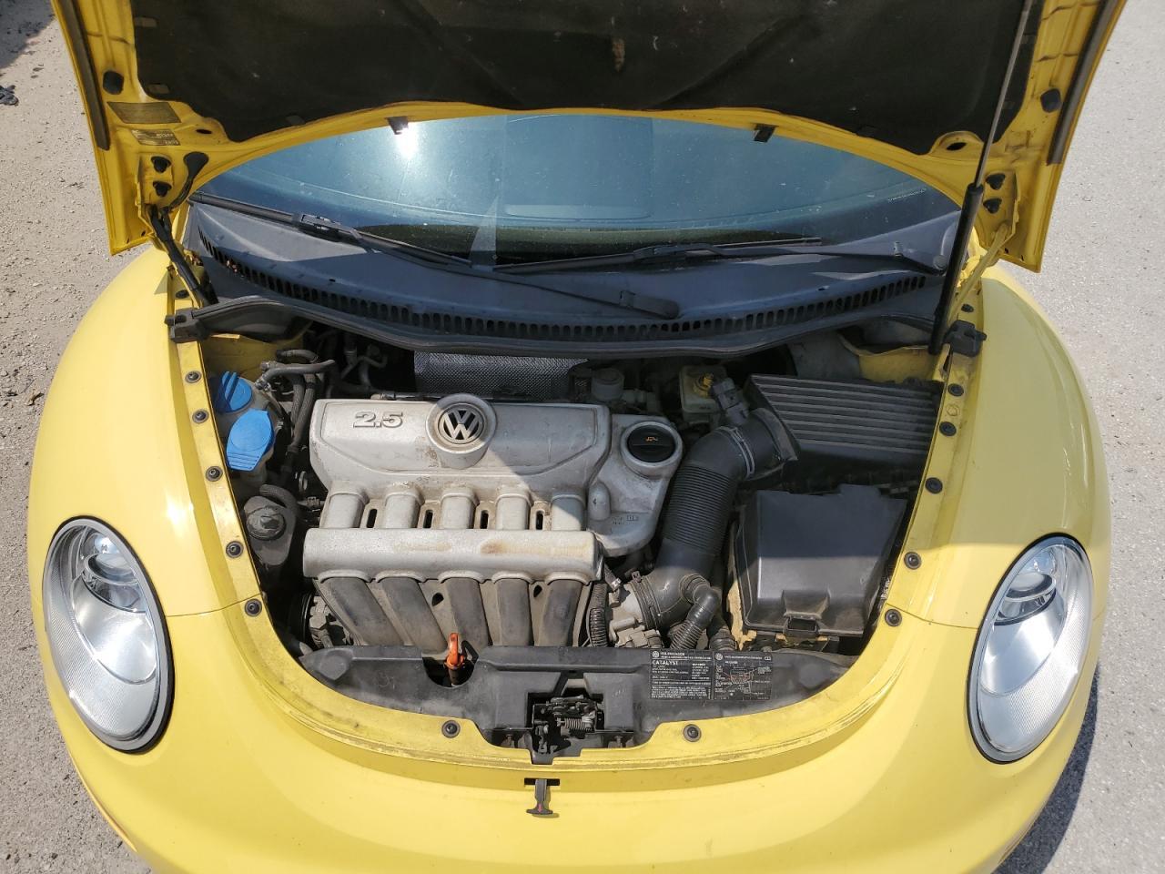 2006 VOLKSWAGEN Beetle