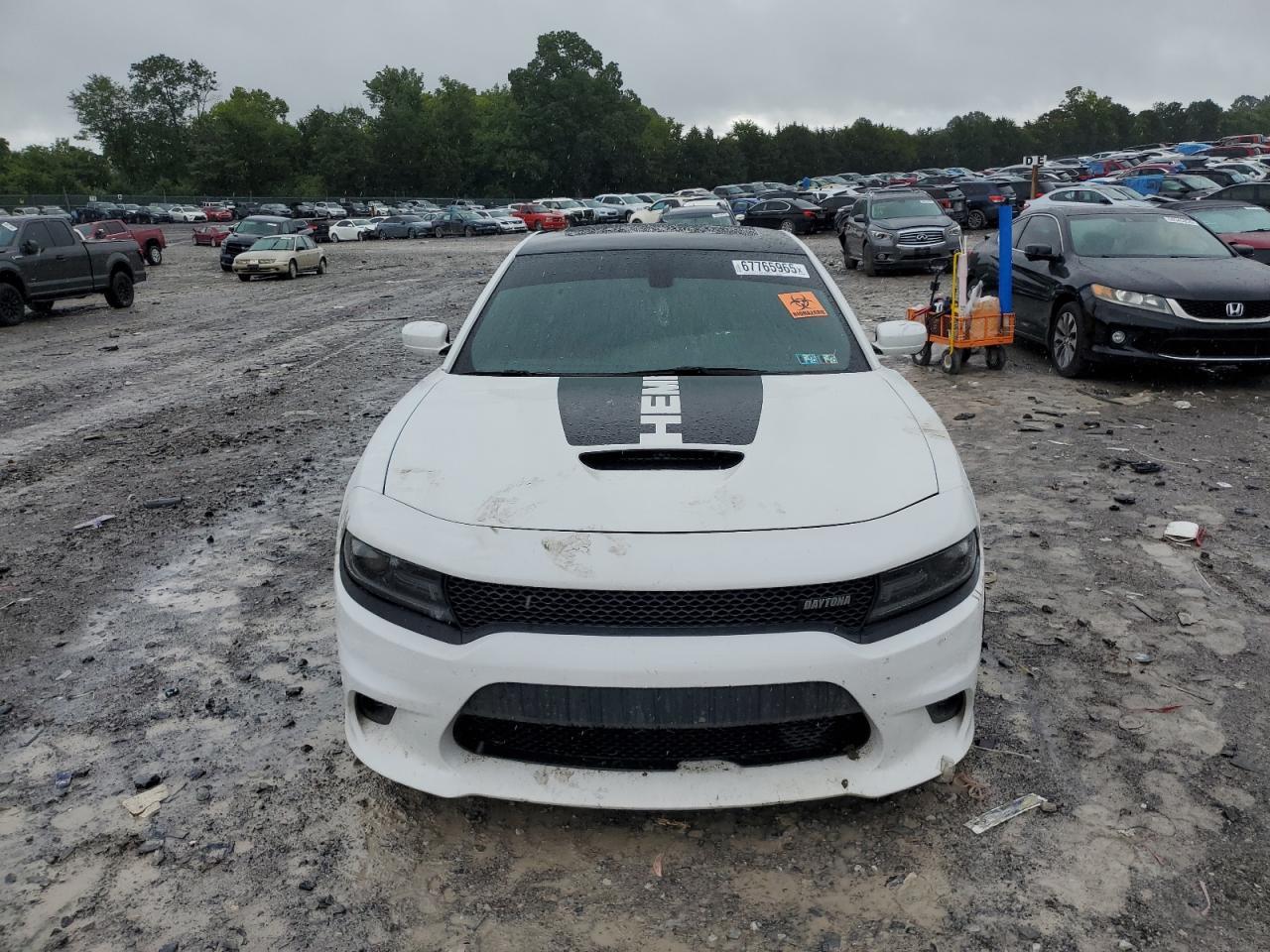 2017 DODGE CHARGER