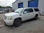 2010 CADILLAC ESCALADE