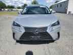 2019 LEXUS Nx