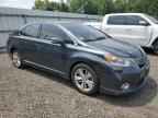 2011 LEXUS HS 250h