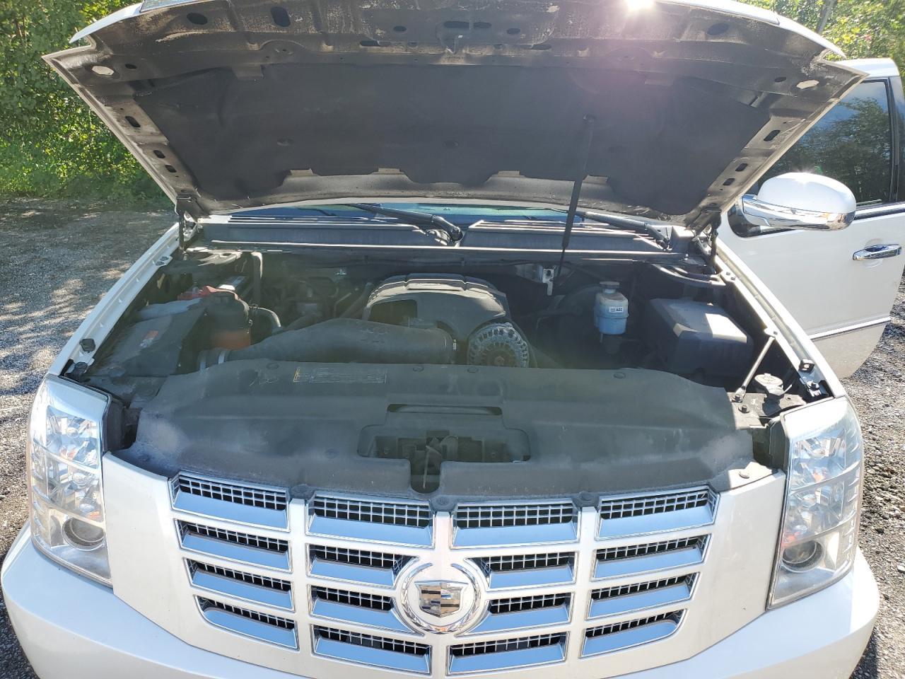 2009 CADILLAC ESCALADE
