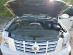 2009 CADILLAC ESCALADE
