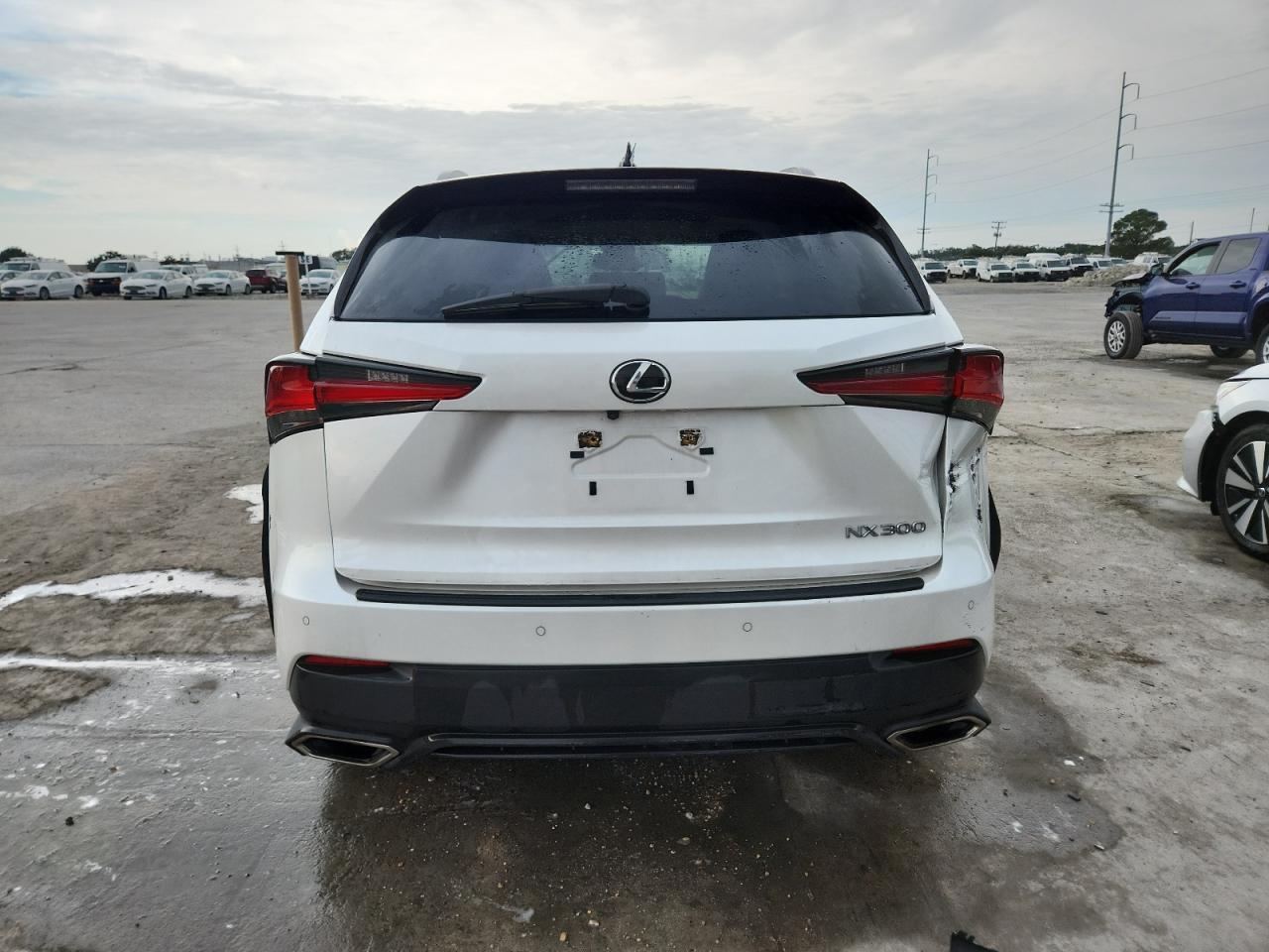 2020 LEXUS Nx