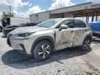 2019 LEXUS Nx