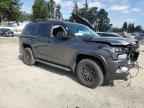 2023 TOYOTA Sequoia