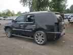 2008 CADILLAC ESCALADE