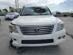 2010 LEXUS LX 570