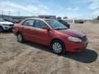 2004 TOYOTA COROLLA