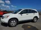 2010 HONDA CR-V