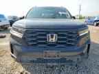 2024 HONDA PILOT