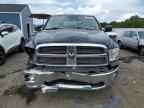 2009 DODGE RAM 1500