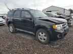 2010 FORD ESCAPE