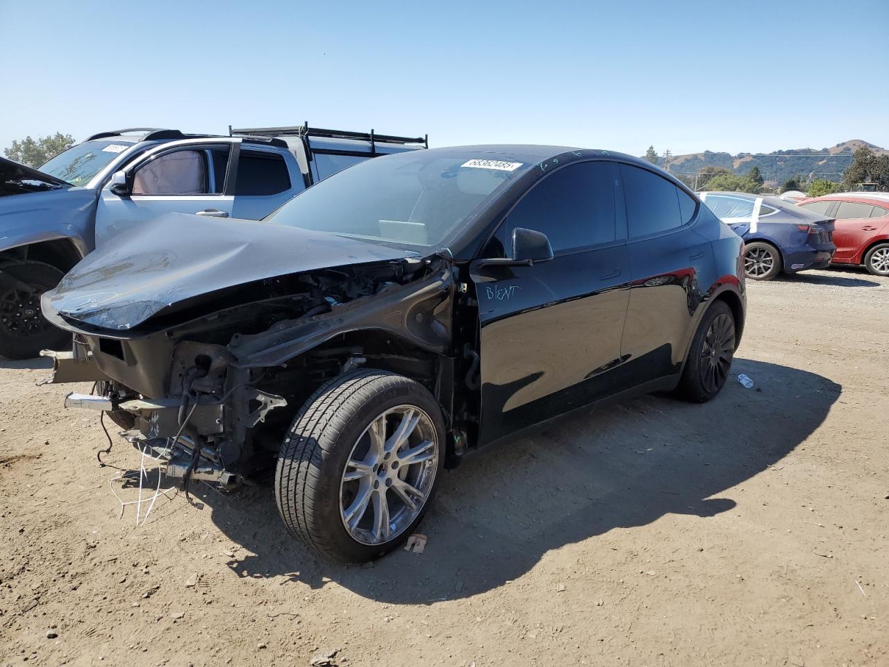 2024 TESLA MODEL Y