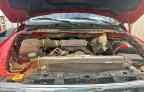 2009 DODGE RAM 1500