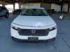 2025 HONDA ACCORD