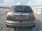 2010 HONDA CR-V