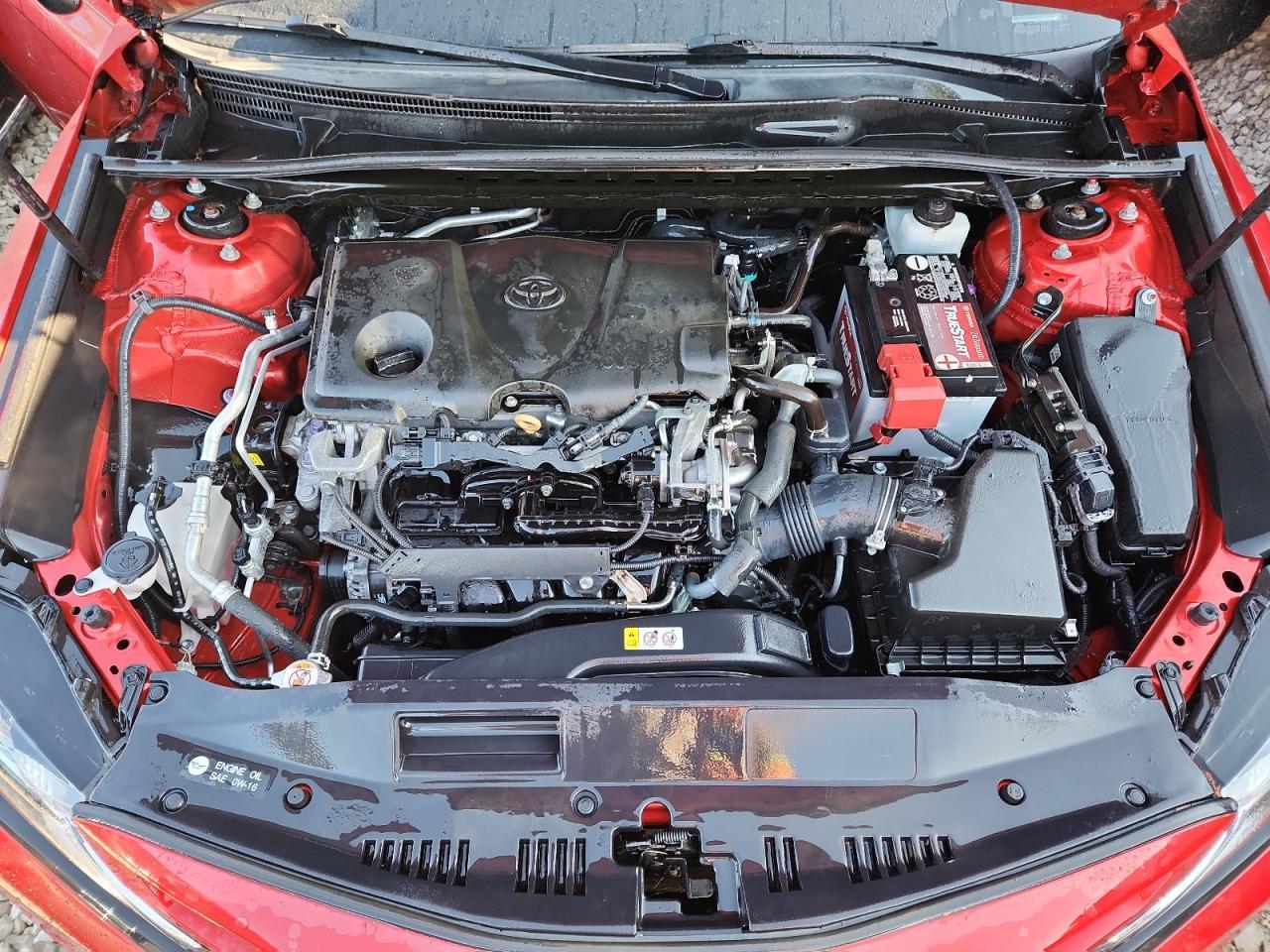 2019 TOYOTA CAMRY