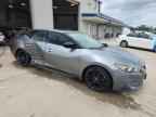 2016 NISSAN Maxima