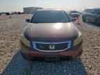2010 HONDA ACCORD