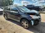 2010 HONDA CR-V