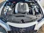 2025 LEXUS IS 350
