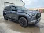 2024 TOYOTA Sequoia