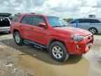 2021 TOYOTA 4Runner