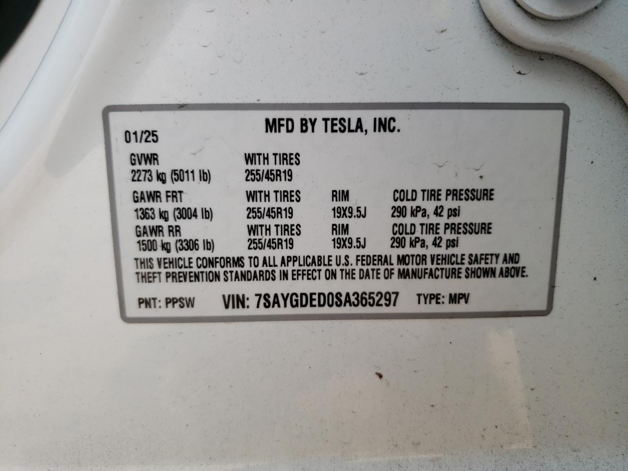 2025 TESLA MODEL Y