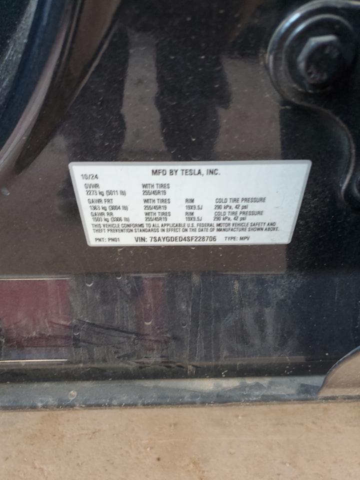2025 TESLA MODEL Y