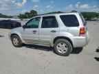 2007 FORD ESCAPE