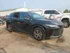 2025 LEXUS RX 350