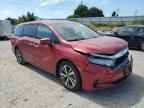 2023 HONDA ODYSSEY