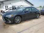 2025 LEXUS ES 350