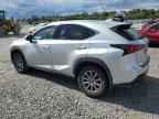 2019 LEXUS Nx