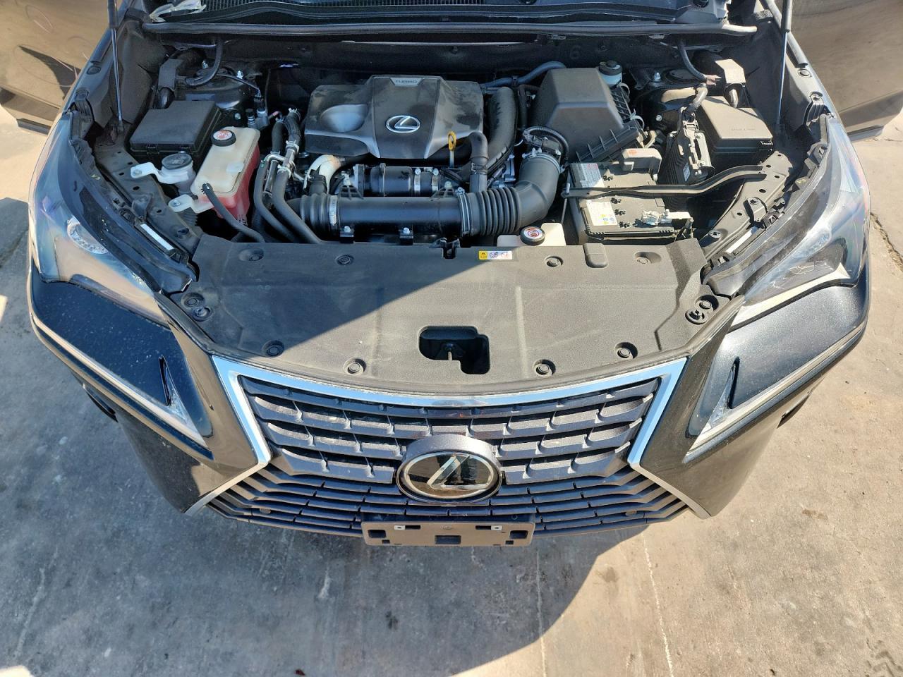 2021 LEXUS Nx