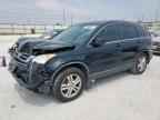 2010 HONDA CR-V