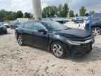 2019 HONDA Insight
