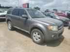 2010 FORD ESCAPE