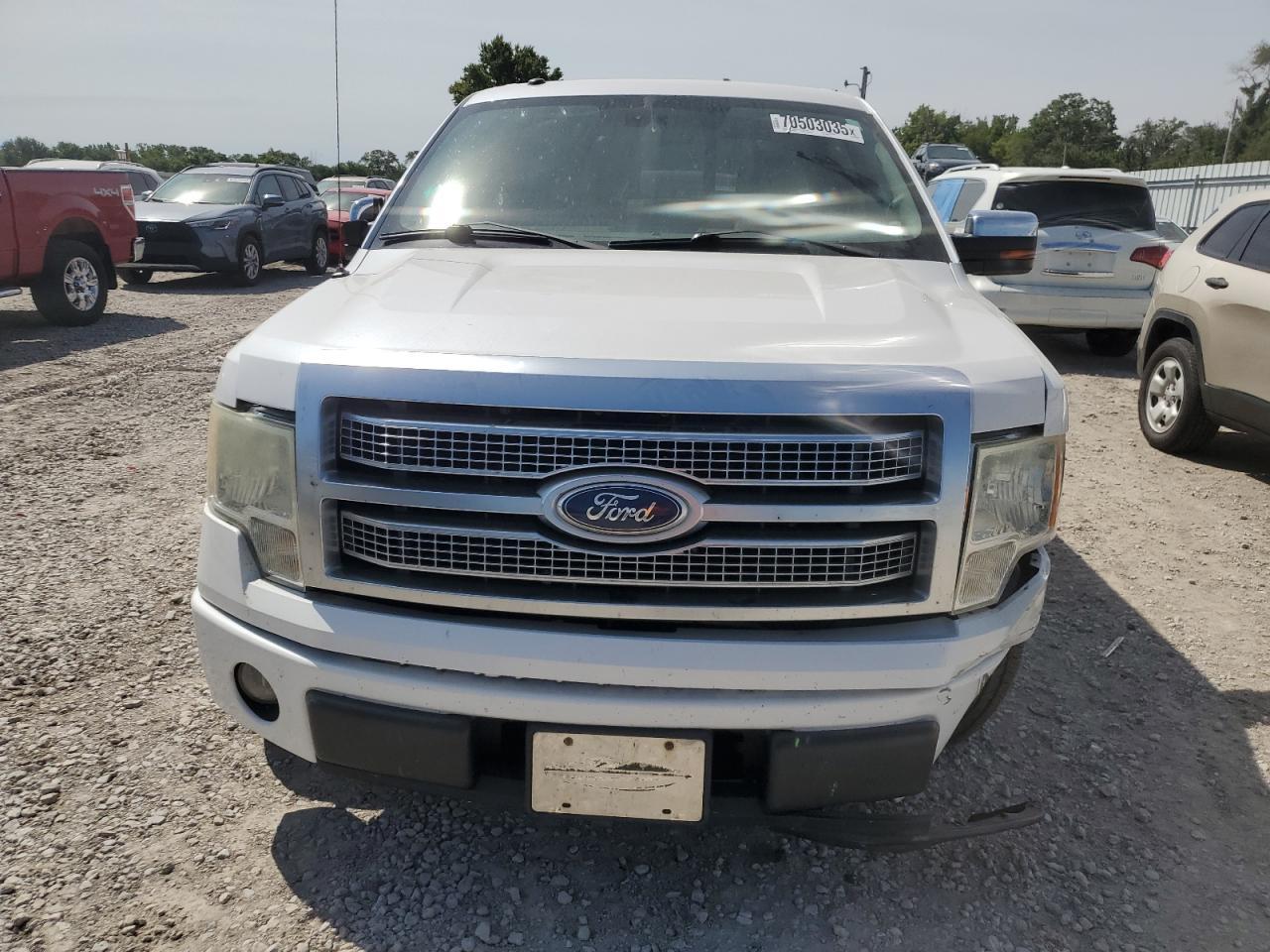 2010 FORD F-150