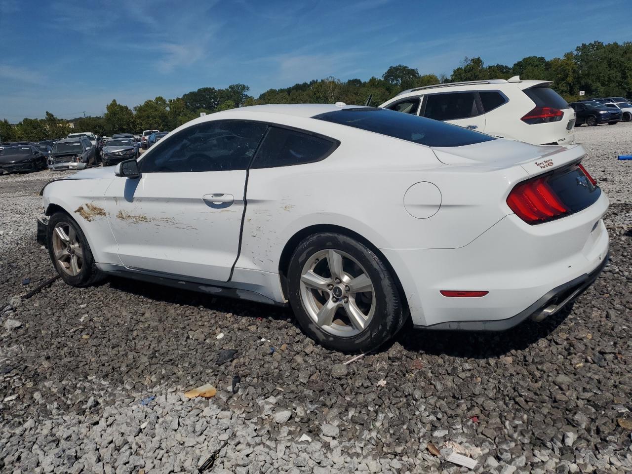 2019 FORD MUSTANG