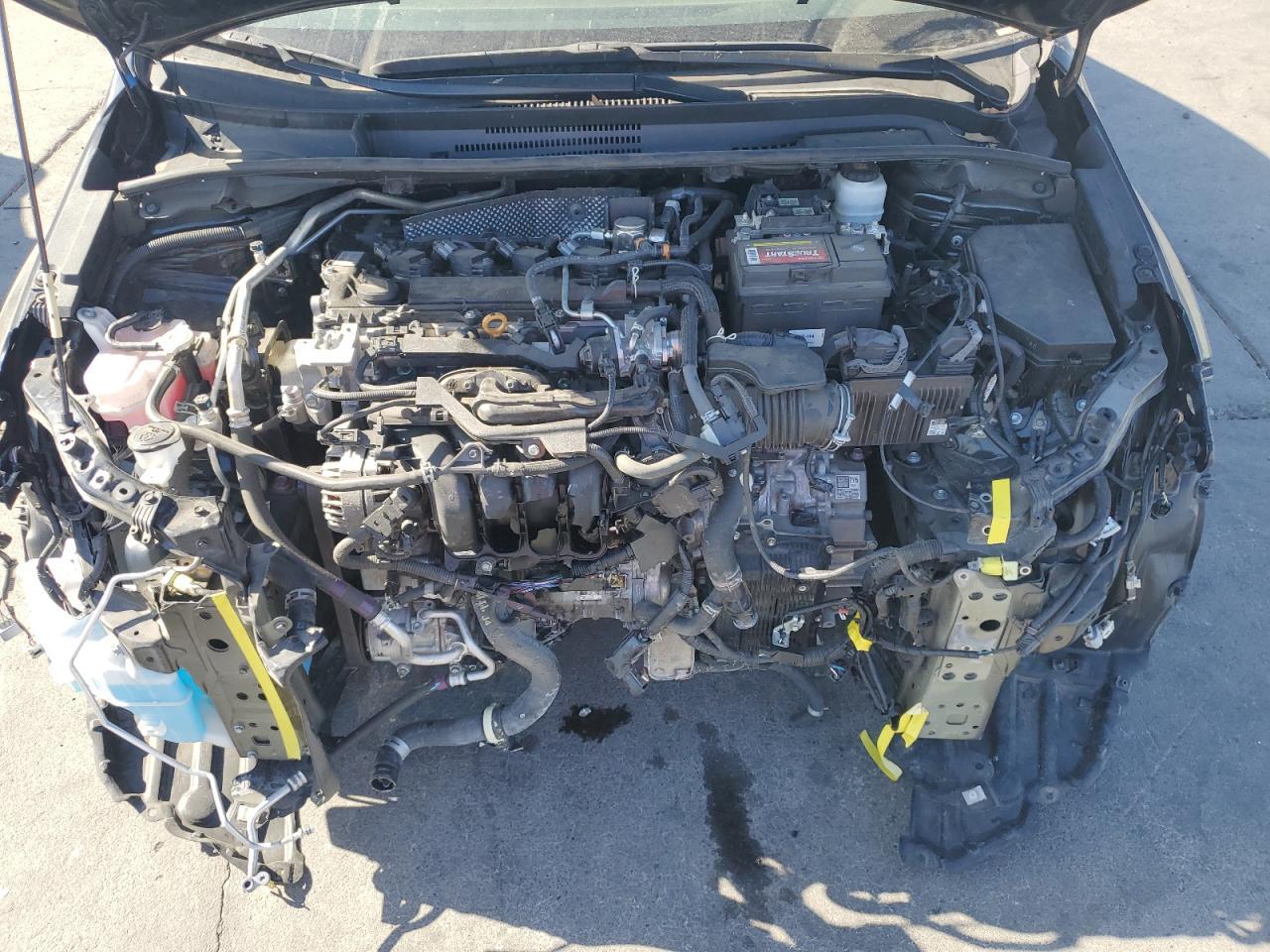2023 TOYOTA COROLLA