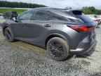 2025 LEXUS Rx