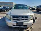 2009 FORD ESCAPE