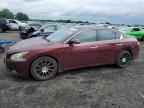 2010 NISSAN Maxima