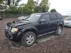 2010 FORD ESCAPE