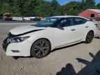 2017 NISSAN Maxima